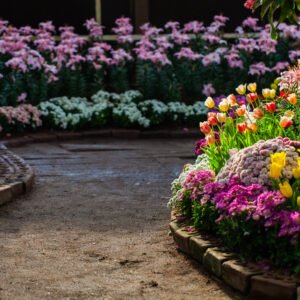 General Garden Flowers
