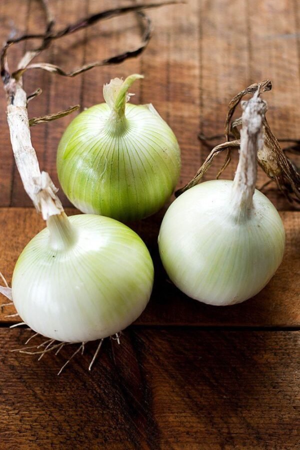 ONION - Image 4