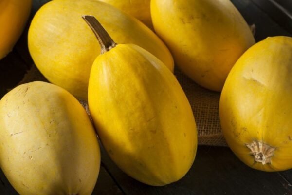 ZUCCHINI - Image 3