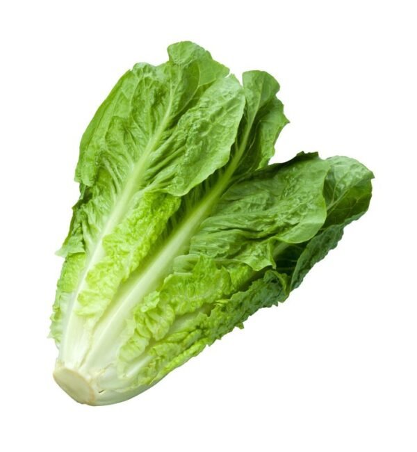 Iceberg lettuce - Image 2