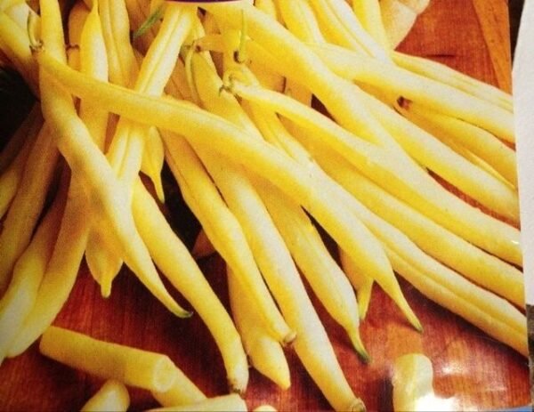 GREEN BEAN - Image 2