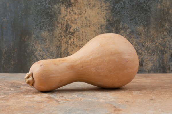 ZUCCHINI - Image 2