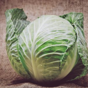 GREEN CABBAGE