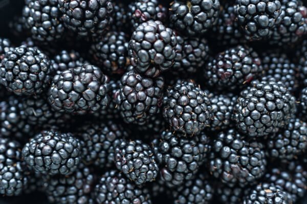 Blackberry