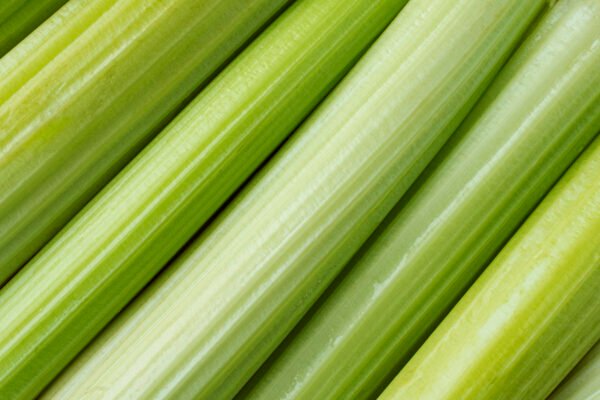 CELERY - Image 2