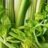 CELERY