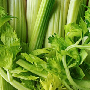 CELERY