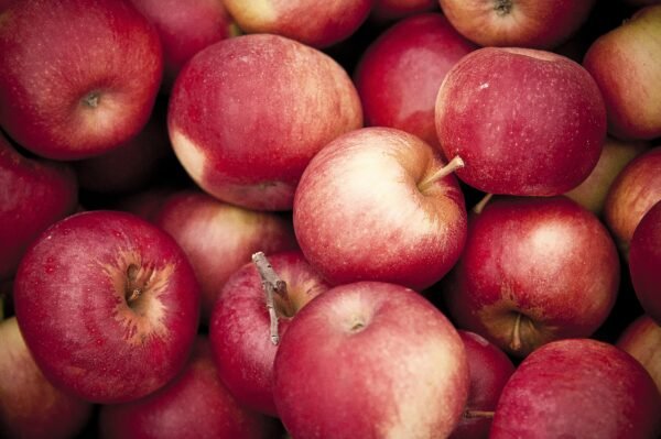 GRANNY SMITH APPLE - Image 5