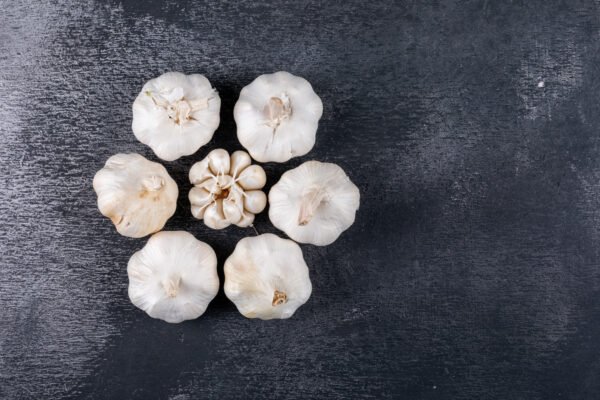 GARLIC - Image 2
