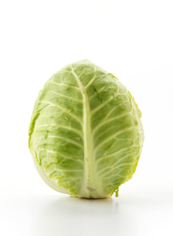 GREEN CABBAGE - Image 3