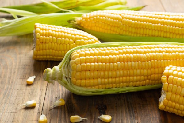 SWEET CORN 60 CORN PER BAGS