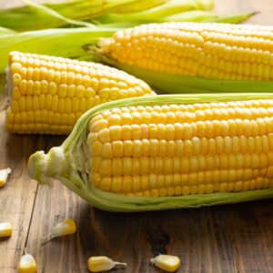 SWEET CORN 60 CORN PER BAGS