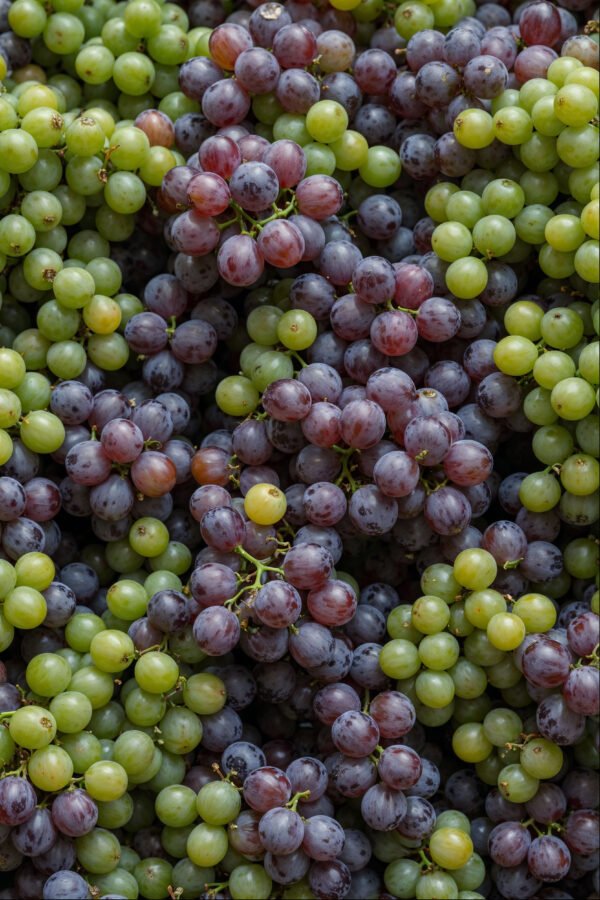 GRAPES