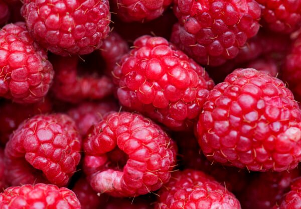 RASPBERRY