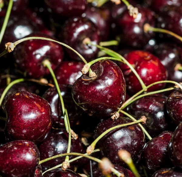 CHERRY