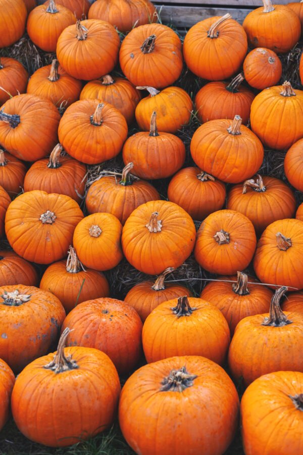 PUMPKIN