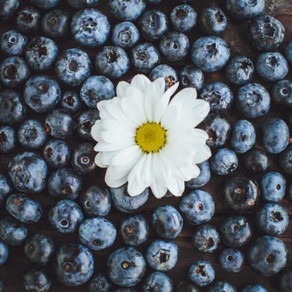 BLUEBERRIES