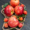 side-close-up-view-fruits-appetizing-apples-cherries-with-leaves-rope GRANNY SMITH APPLE