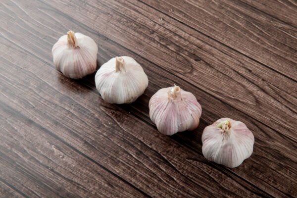 GARLIC