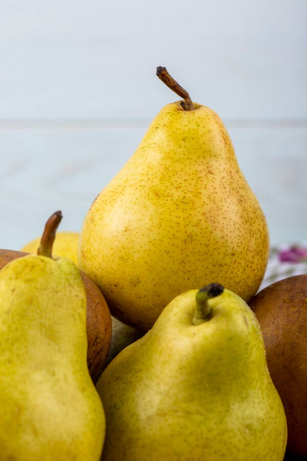 PEAR BARTLETT/ANJOU