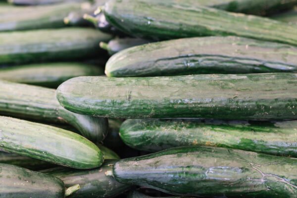 CUCUMBER - Image 3