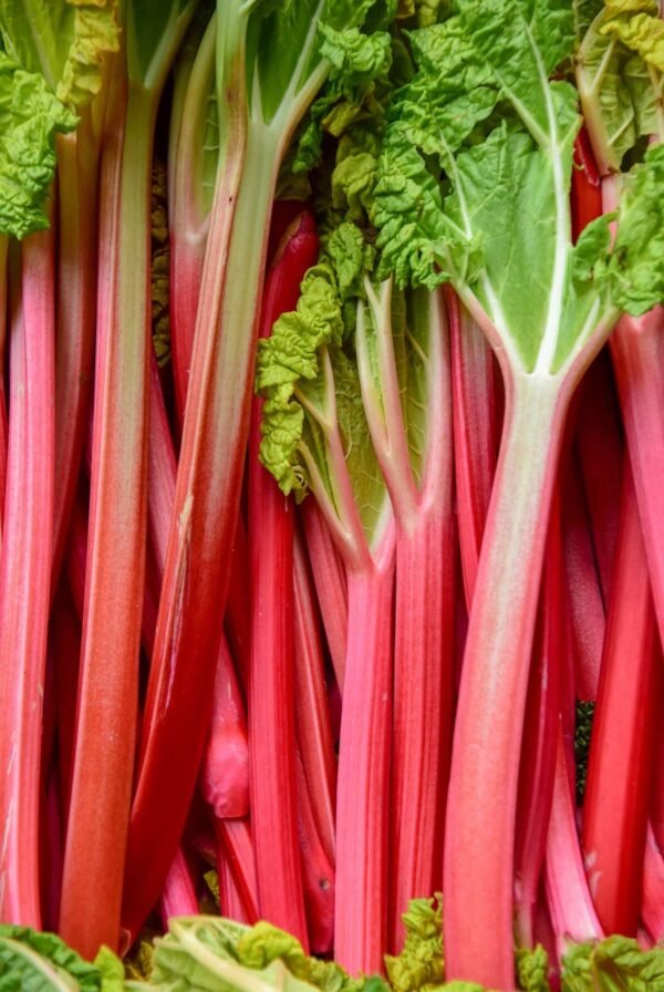 RHUBARB
