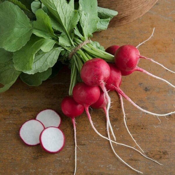 WATERMELON RADISH - Image 2