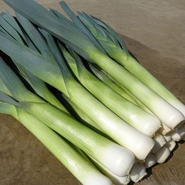 LEEKS